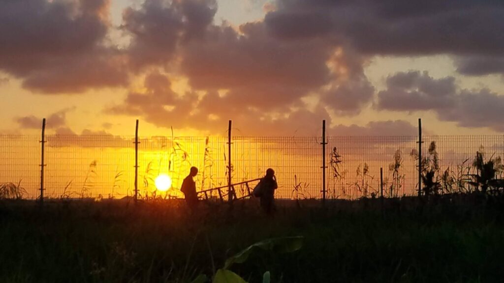 Puesta de sol en Mozambique en 2019 con una alambrada